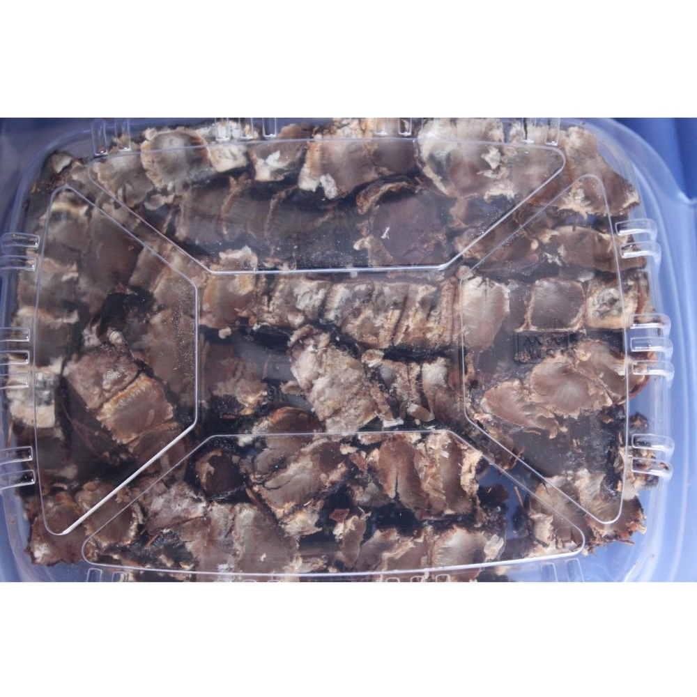 Organic Seedless Tamarind Perfect For Cooking (Brown, 500GM) Organic Seedless Tamarind Perfect For Cooking (Brown, 500GM)