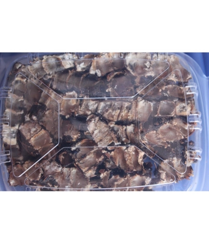 Organic Seedless Tamarind Perfect For Cooking (Brown, 500GM)