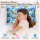 Soft Plush Printed Baby Infant Pillow for Kids Age 1 To 5 Years (Blue)