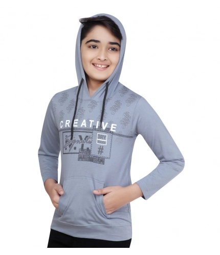 Boy's Cotton Printeded Hooded Neck Hoodies (Steel Blue)