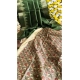 Women's Tussar Silk Madhubani Saree With Unstitched Blouse 5.5Mtr (Green) Women's Tussar Silk Madhubani Saree With Unstitched Blouse 5.5Mtr (Green)