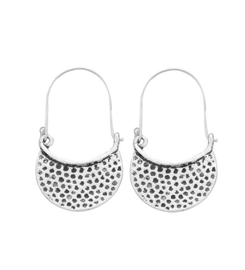 Women's Silver Plated Hook Dangler Hanging Earrings-Silver