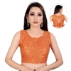 Dropship Women's Satin Silk, Inner-Cotton Full Stitched Padded Blouse (Keri Fenta)