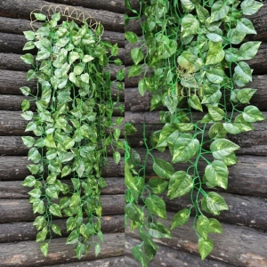 Generic Pack Of 5 Silk Polyester Artificial Money Plant Leaf Vine Hanging Garland Foliage Flowers Leaf Plants For Wall Decoration (Color: Green,Length: 15 Feet)