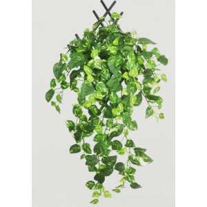Generic Pack Of 5 Silk Polyester Artificial Money Plant Leaf Vine Hanging Garland Foliage Flowers Leaf Plants For Wall Decoration (Color: Green,Length: 15 Feet)