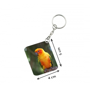 Generic Pack Of 3_ Parrot One Side Printed Rectangle Designer Keychain (Orange)