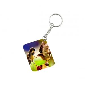 Generic Pack Of 3_ Birds Love One Side Printed Rectangle Designer Keychain (Multi Color)
