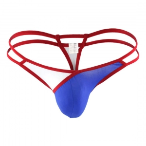 Generic Men's Cotton Spandex Foxy Dude Thongs Underwear (Multi)