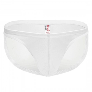 Generic Men's Mesh Power Net Men Transparent Briefs Underwear (White)