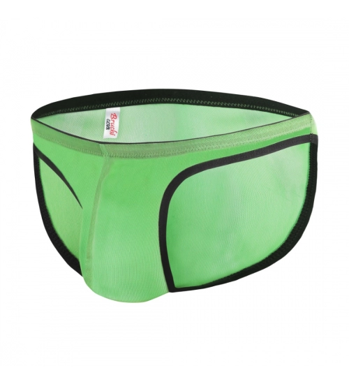 Men's Mesh Power Net Transparent Sexy Brief Underwear (Green)