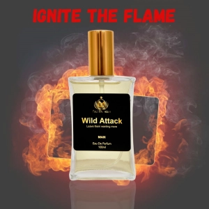 Generic Europa Wild Attack 100ml Perfume Spray For Men