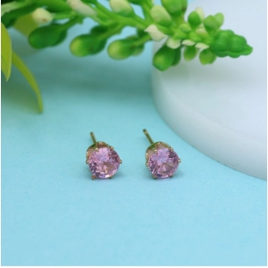Generic Women's Assorted Color Stud Earrings Combo Of 60 Pairs 