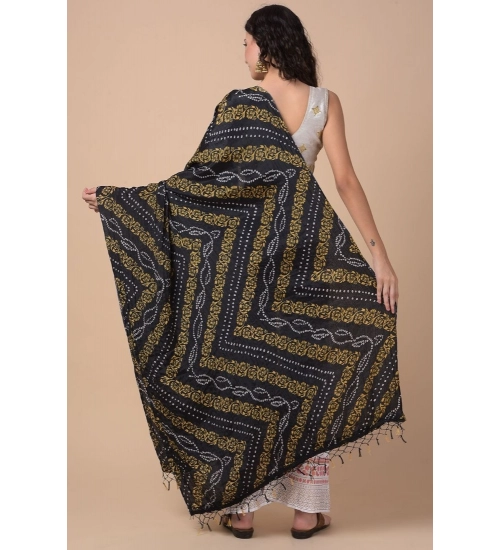 Women's Chanderi Printed Dupatta (Multicolor, Length: 2.25 to 2.50 Mtr)