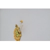 Dropship Women's Rose Gold Plated Alloy Earrings (Gold)