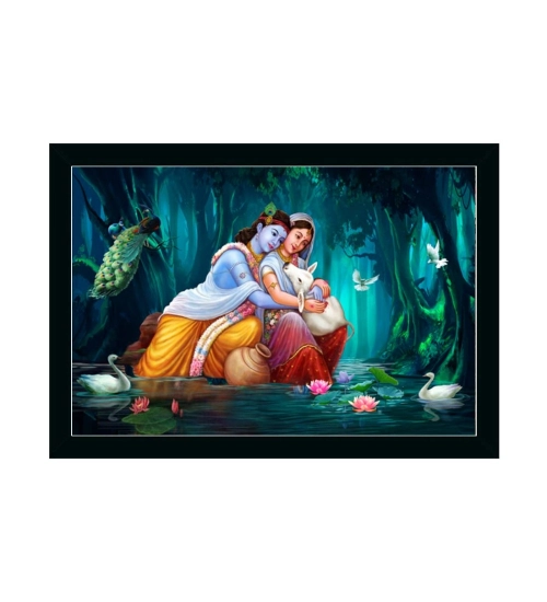 Beautiful Radha Krishna Vinyl Sparkle Coated with Synthetic Photo Frame (Multicolor)