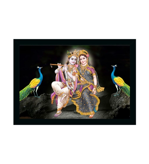 Radha Krishna Painting Vinyl Sparkle Coated with Synthetic Photo Frame (Multicolor)