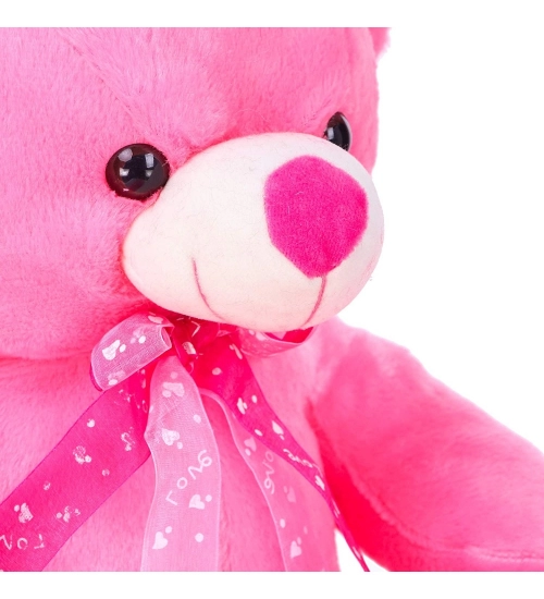 Teddy Bear Toy (Pink)