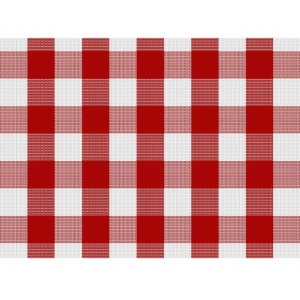 Generic Checked Cotton Place Mats Sets (Red & White)