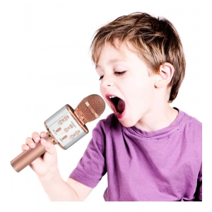 Generic Metal Wireless Bluetooth Microphone With Led Lights  Portable Handheld Mic Speaker For Kids (Assorted)