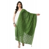 Women's Chanderi Self design Dupatta (Mehandi, Length: Free Size) Women's Chanderi Self design Dupatta (Mehandi, Length: Free Size)