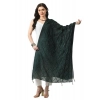 Women's Chanderi Self design Dupatta (Green, Length: Free Size) Women's Chanderi Self design Dupatta (Green, Length: Free Size)
