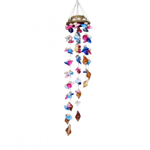 Generic Seashell Shellkrafts Home Decor (Multicolor)