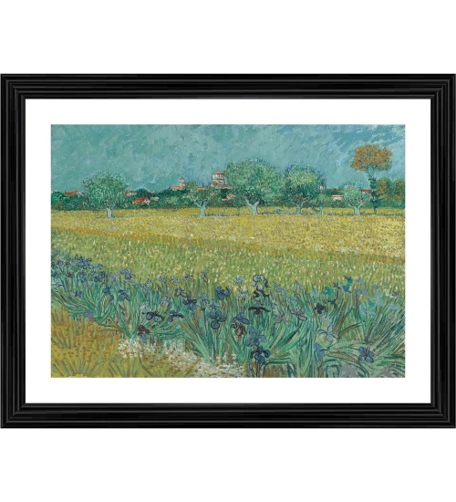 Field with Irises near Arles 1888 Painting With Wood Photo Frame (Multicolor)