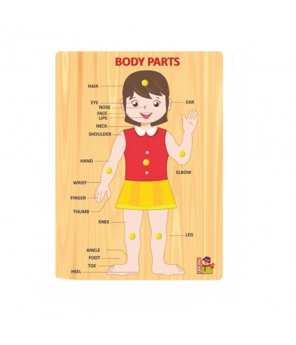 Body Parts | Wood | Educational Toys | 3+ Years Body Parts | Wood | Educational Toys | 3+ Years