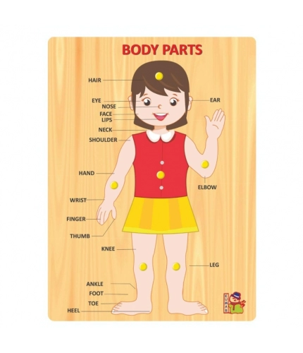 Body Parts | Wood | Educational Toys | 3+ Years