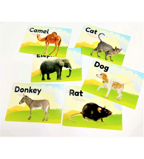 Flash Card-Animal | Plastic | Educational Toys | 6+ Months Flash Card-Animal | Plastic | Educational Toys | 6+ Months