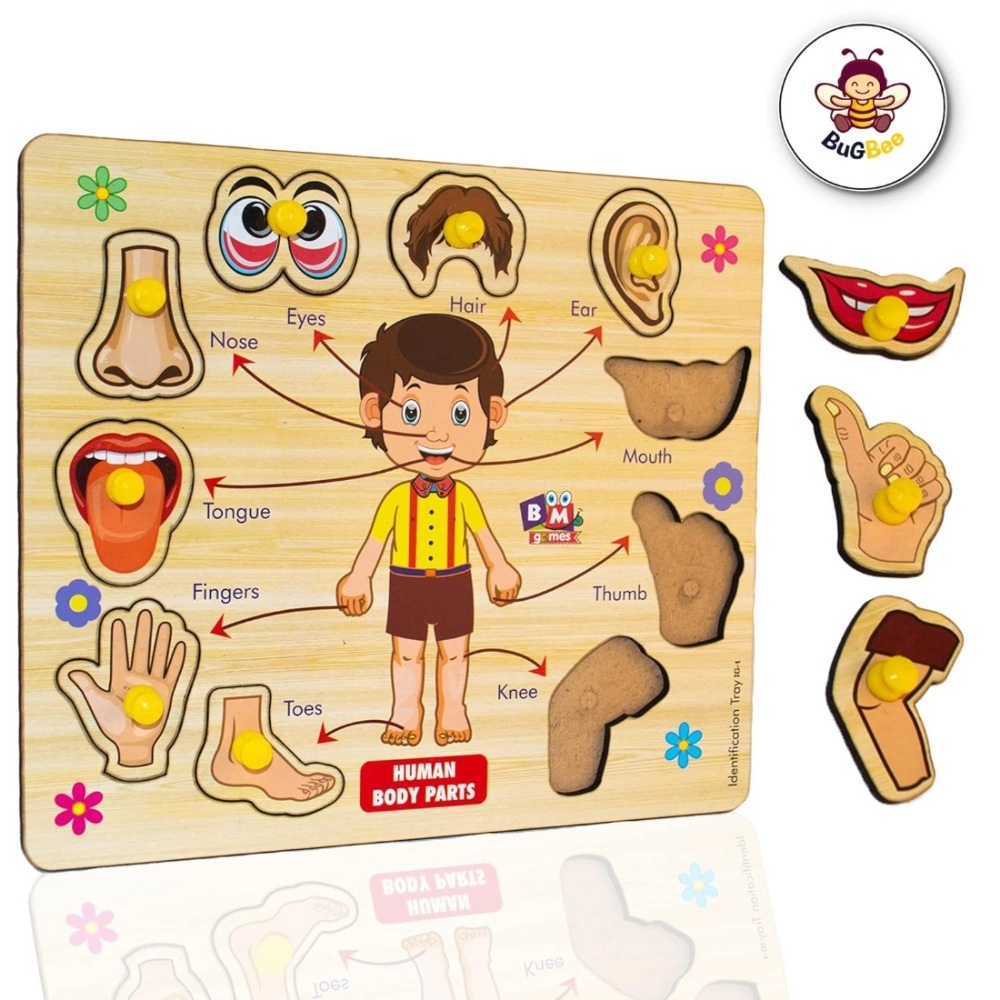 Wooden Puzzle - Body parts | Wood | Educational Toys | 3+ Years Wooden Puzzle - Body parts | Wood | Educational Toys | 3+ Years