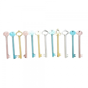 12 PCS_Set Key Shape Gel Pen  | Plastic | Stationery | 5+ Years