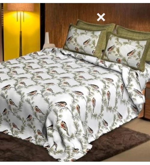 Cotton Printed Queen Size Bedsheet With 2 Pillow Covers (White, 90x100 Inch)