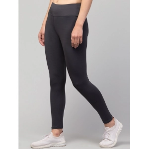 Generic Women's Polyester Solid Ankle Length High-Rise Tights (Grey)