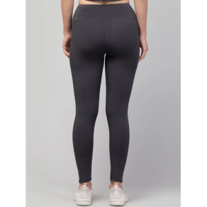 Generic Women's Polyester Solid Ankle Length High-Rise Tights (Grey)