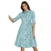 Dropship Women's Ruby Cotton Printed Shirt Collar 3-4th Sleeve Dress (Pista)