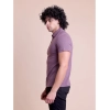 Men's Casual Cotton Solid Half Sleeve Polo Neck T-Shirt (Berry)