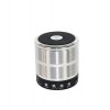 Dropship Plastic Rubber Wireless WS887 Bluetooth Speaker (Silver)