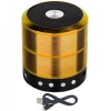 Dropship Plastic Rubber Wireless WS887 Bluetooth Speaker (Gold)