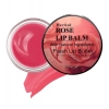 Beastofcloud Unisex Herbal Dark And Chapped Lips Rose Lip Balm (10gm) Beastofcloud Unisex Herbal Dark And Chapped Lips Rose Lip Balm (10gm)
