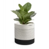 Dropship Cotton Large Woven Storage Basket 10x10 Inch Pack of 1 (White)