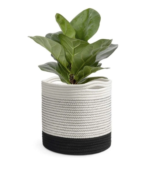 Cotton Large Woven Storage Basket 10x10 Inch Pack of 1 (White)