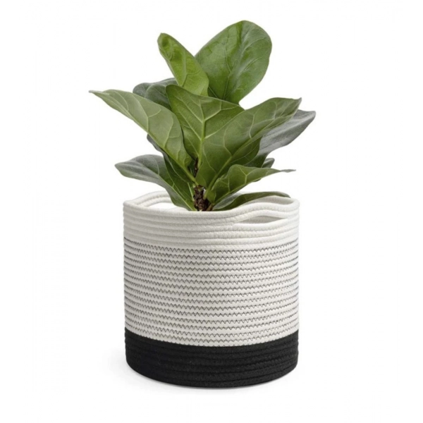 Dropship Cotton Large Woven Storage Basket 10x10 Inch Pack of 1 (White)