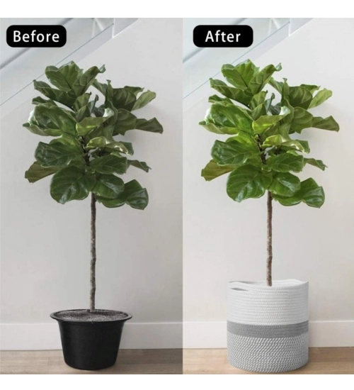 Cotton Large Woven Storage Basket 11x11 Inch Pack of 1 (Grey White)