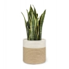 Dropship Cotton Large Woven Storage Basket 11x11 Inch Pack of 1 (Beige White)
