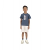Dropship Pack of 3 Boy's Cotton Printed Short Sleeve T-Shirt's (Multicolor)