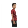 Dropship Pack of 3 Boy's Cotton Printed Short Sleeve T-Shirt's (Multicolor)