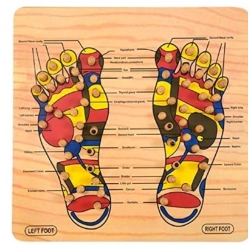 Wood Point Foot Massager For Reflexology Trigger Feet  (Wood)