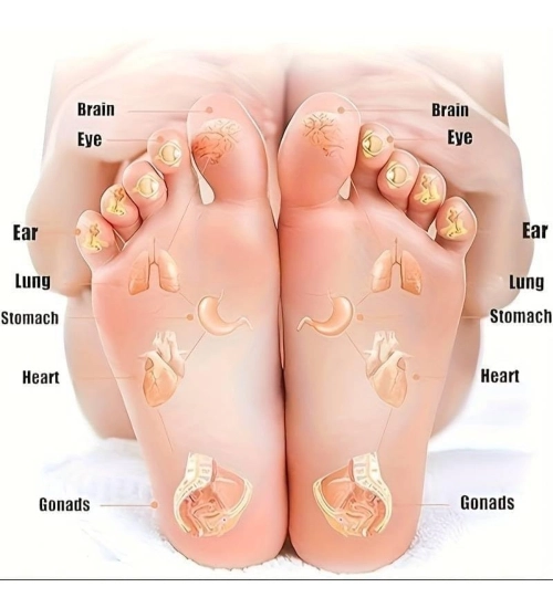 Plastic Point Folding Foot Massager And Acupuncture (Blue)