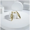 Dropship Women's Stainless Steel Gold Earrings (Gold Plated)